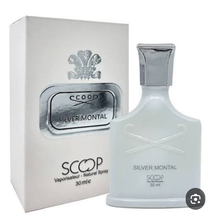 عطر ادوپرفیوم مردانه اسکوپ مدل SILVER MONTAL