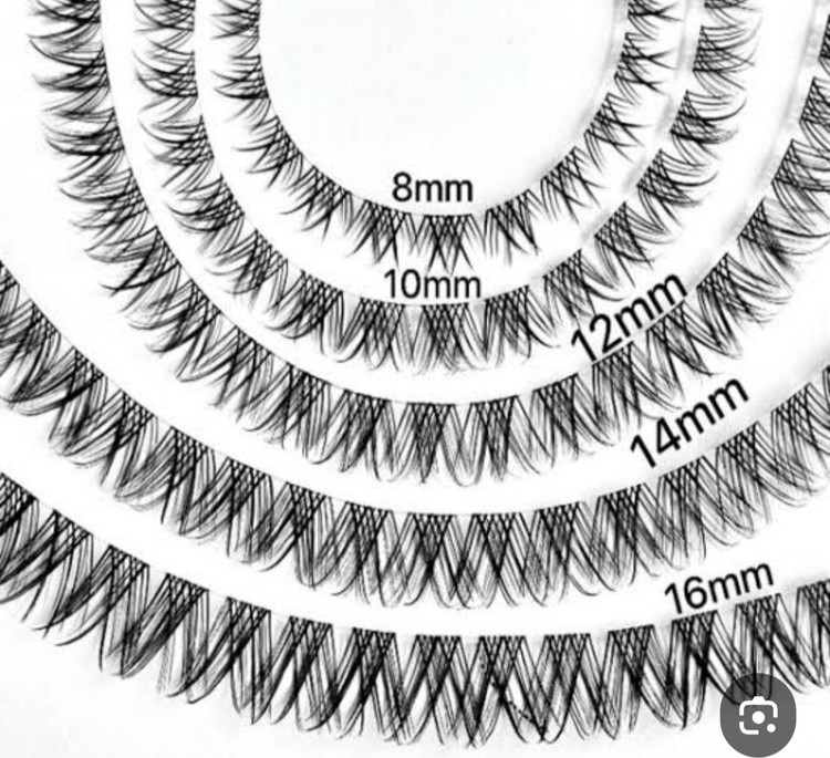مژه ریسه ای فیشر