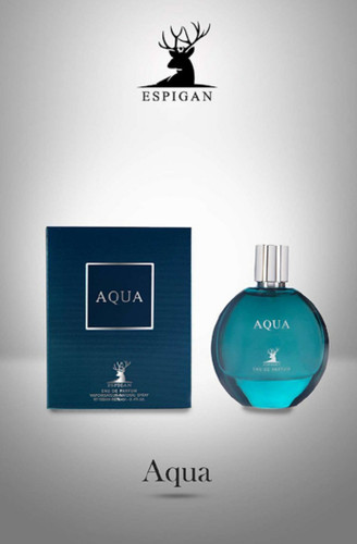 ادکلان ادوپرفیوم مردانه اکوآ اسپیگان با ماندگاری بسیار بالا